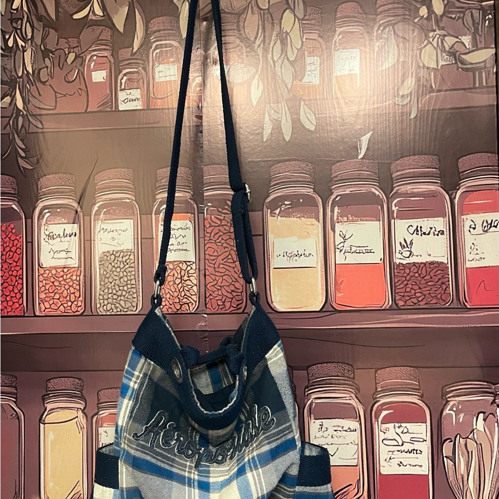 Aeropostale Blue and White Plaid Bag